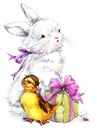 Watercolor Cute bunny and little bird, gift and flowers background Royalty Free Stock Photo