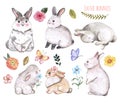 Watercolor cute bunny and spring flowers illustration. Easter rabbits, isolated on white background Royalty Free Stock Photo