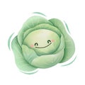 Watercolor cute cabbage cartoon character. Vector illustration