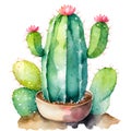 Watercolor of cute cactus in the pot with stay, Hand drawn elements isolated on white background