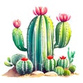 Watercolor of cute cactus in the pot with stay, Hand drawn elements isolated on white background