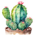 Watercolor of cute cactus in the pot with stay, Hand drawn elements isolated on white background