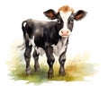 watercolor of a cute calf.