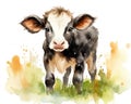 watercolor of a cute calf.