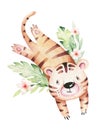 Watercolor cute cartoon baby tiger animal illustration.Safari zoo character isolated on white background. Hand painted Royalty Free Stock Photo