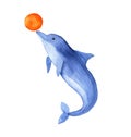 Cute cartoon jumping dolphin with orange ball