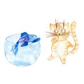 Watercolor cute cat and aquarium. Pets. Funny kitten. Children's illustration. Cartoon character for fabric or poster