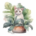 Watercolor cute cat and floral tropical bouquets. rest on tre tree