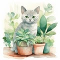 Watercolor cute cat and floral tropical bouquets. rest on tre tree