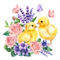 Watercolor cute chicken and lavender flowers, bluebells, roses and butterflies on a white background, floral postcard