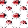 Watercolor Cute colorful ladybugs clip art collection isolated on white background. Royalty Free Stock Photo
