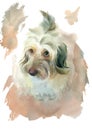 Watercolor cute dog with pleading eyes.