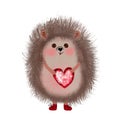 Watercolor cute drawing of a hedgehog with a heart on a white background. A spiky cartoon animal to decorate cards for