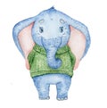 Watercolor cute elephant in green knitted sweater animal illustration