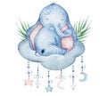 Watercolor cute elephant sitting on the cloud animal illustration Royalty Free Stock Photo