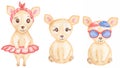 Watercolor Cute fashion chihuahua Dogs clipart set, Beige baby dog illustration, Domestic animals clip art Royalty Free Stock Photo