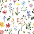 Watercolor cute floral seamless pattern. Botanical print, blooming summer meadow illustration with wild flowers on white Royalty Free Stock Photo