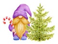 Watercolor Cute Gnome with Christmas Tree and striped candy cane. Holidays aquarelle gnome man for New year greetings card or