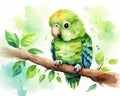 watercolor of a cute kakapo parrot on a branch.