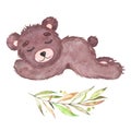 Watercolor cute little baby bear sleeping forest animal isolated on white background