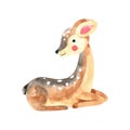 Watercolor cute little deer illustration. Forest wildlife animal fawn on white background