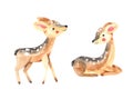 Watercolor cute little deer illustration set. Forest wildlife animal fawn on white background Royalty Free Stock Photo