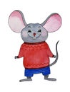 Watercolor cute mouse in red knitted sweater. Royalty Free Stock Photo