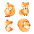 Watercolor cute orange foxes set Royalty Free Stock Photo