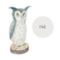 watercolor cute owl, bird on a hemp