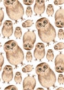 Watercolor cute owls pattern. Birds background