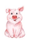 Watercolor cute pig