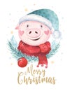 Watercolor cute Pig symbol 2019 illustration. Isolated funny cartoon ping animal Happy Chinese New Year piggy art. Royalty Free Stock Photo