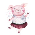 Watercolor cute Pig symbol 2019 illustration. Isolated funny cartoon ping animal Happy Chinese New Year piggy art. Royalty Free Stock Photo