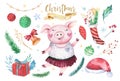 Watercolor cute Pig symbol 2019 illustration. Isolated funny cartoon ping animal Happy Chinese New Year piggy art.