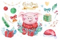 Watercolor cute Pig symbol 2019 illustration. Isolated funny cartoon ping animal Happy Chinese New Year piggy art. Royalty Free Stock Photo