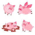 Watercolor cute pigs set. Royalty Free Stock Photo