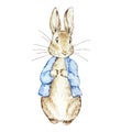 Watercolor cute rabbit in a blue jacket