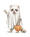 Watercolor cute raccoon character in halloween phantom costume with pumpkin candy bucket