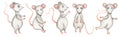 Watercolor cute rats illustration set, hand drawn gray big mouse clipart, animals print