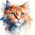 Watercolor cute red cat portrait, colorful painting. Realistic pet, animal illustration. Created with Generative AI technology Royalty Free Stock Photo