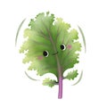 Watercolor cute red kale leaf cartoon character. Vector illustration