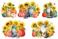 Watercolor cute sats and yellow flowers, sunflower pumpkin and butterflies set isolated white background, Autumn animal Royalty Free Stock Photo