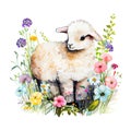 Watercolor cute sheep with flowers, isolated on white background, ai generation Royalty Free Stock Photo