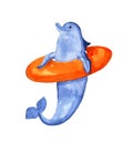 Watercolor cute smiling cheerful dolphin