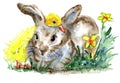 Watercolor Cute Spring Bunny and Duckling