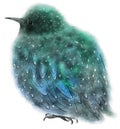 Watercolor Cute Starling Bird Painting Illustration