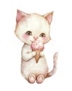 Watercolor cute white kitten eating ice cream isolated on white background. Royalty Free Stock Photo