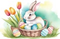 Watercolor cute white rabbit in a wicker basket with Easter eggs, on green grass field spring meadow. Easter card Royalty Free Stock Photo