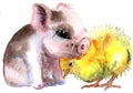 Watercolor Cute Spring Chicken and Pink Piglet