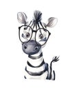 Watercolor cute zebra with glasses isolated on white background.